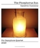 The Phosphorus Sun P.O.D cover